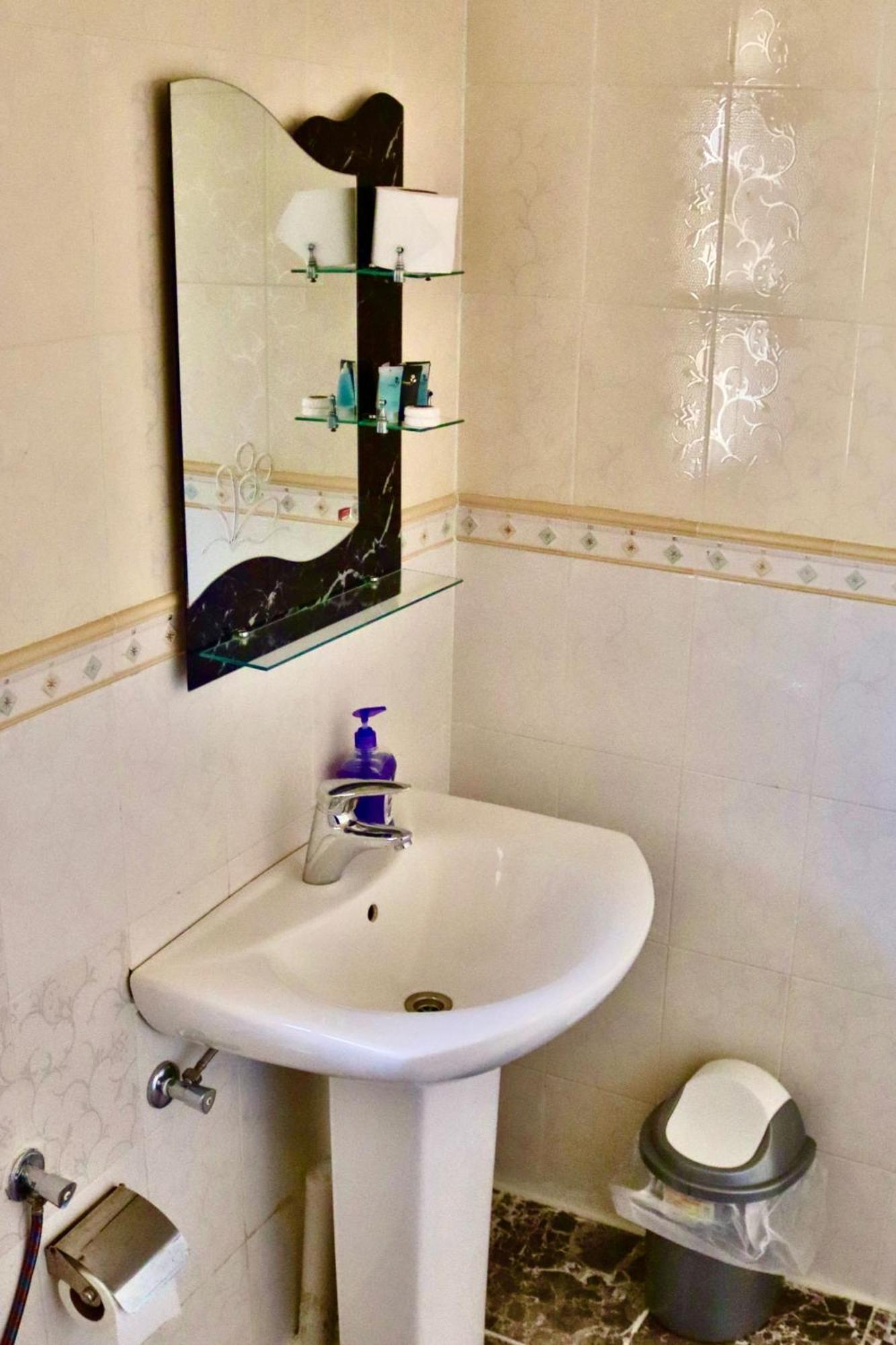 In - Golden Palm Oasis - Royal Palm *