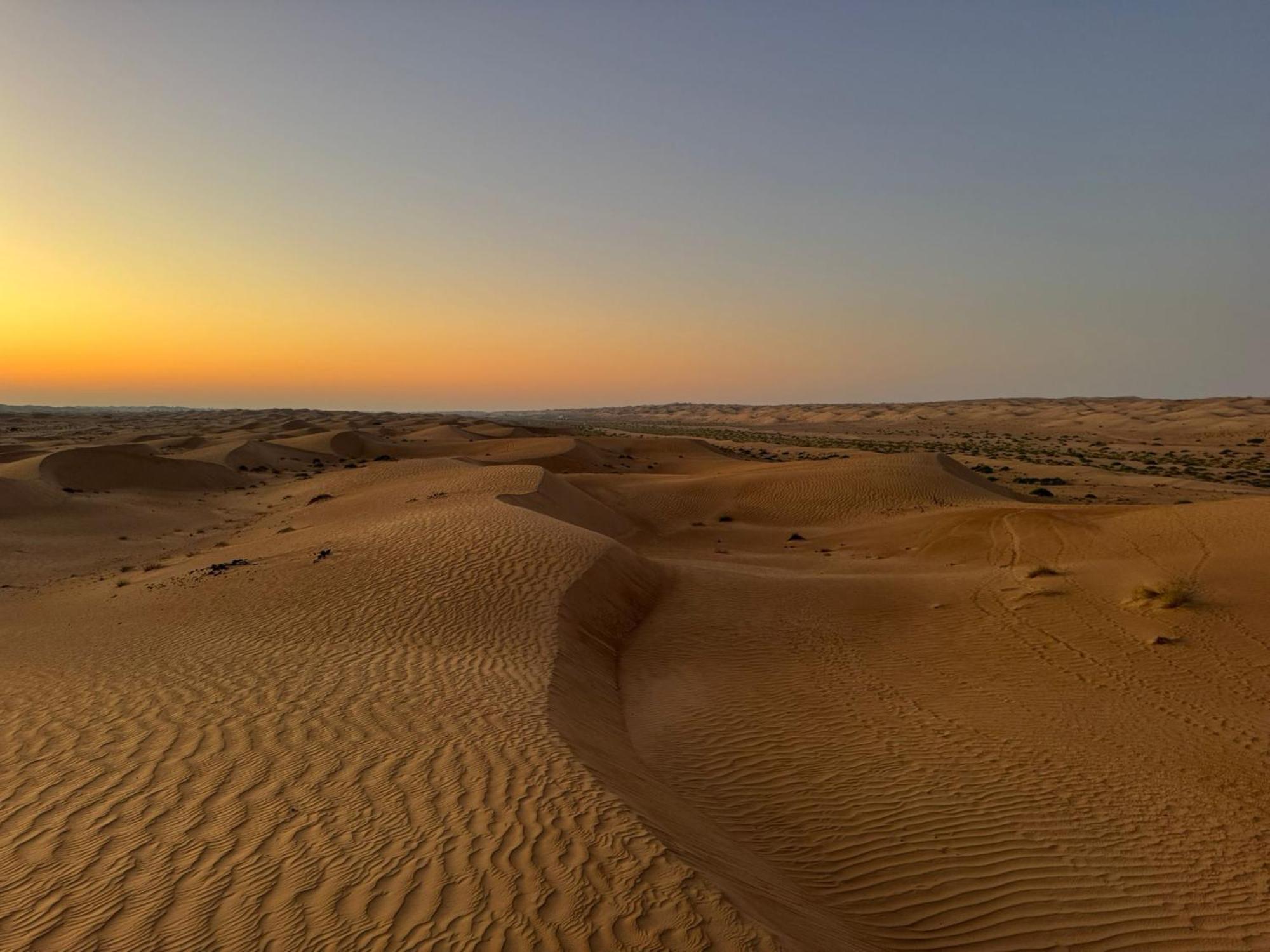 In - Golden Palm Oasis - Royal Palm * Fulayj al Masha'ikh