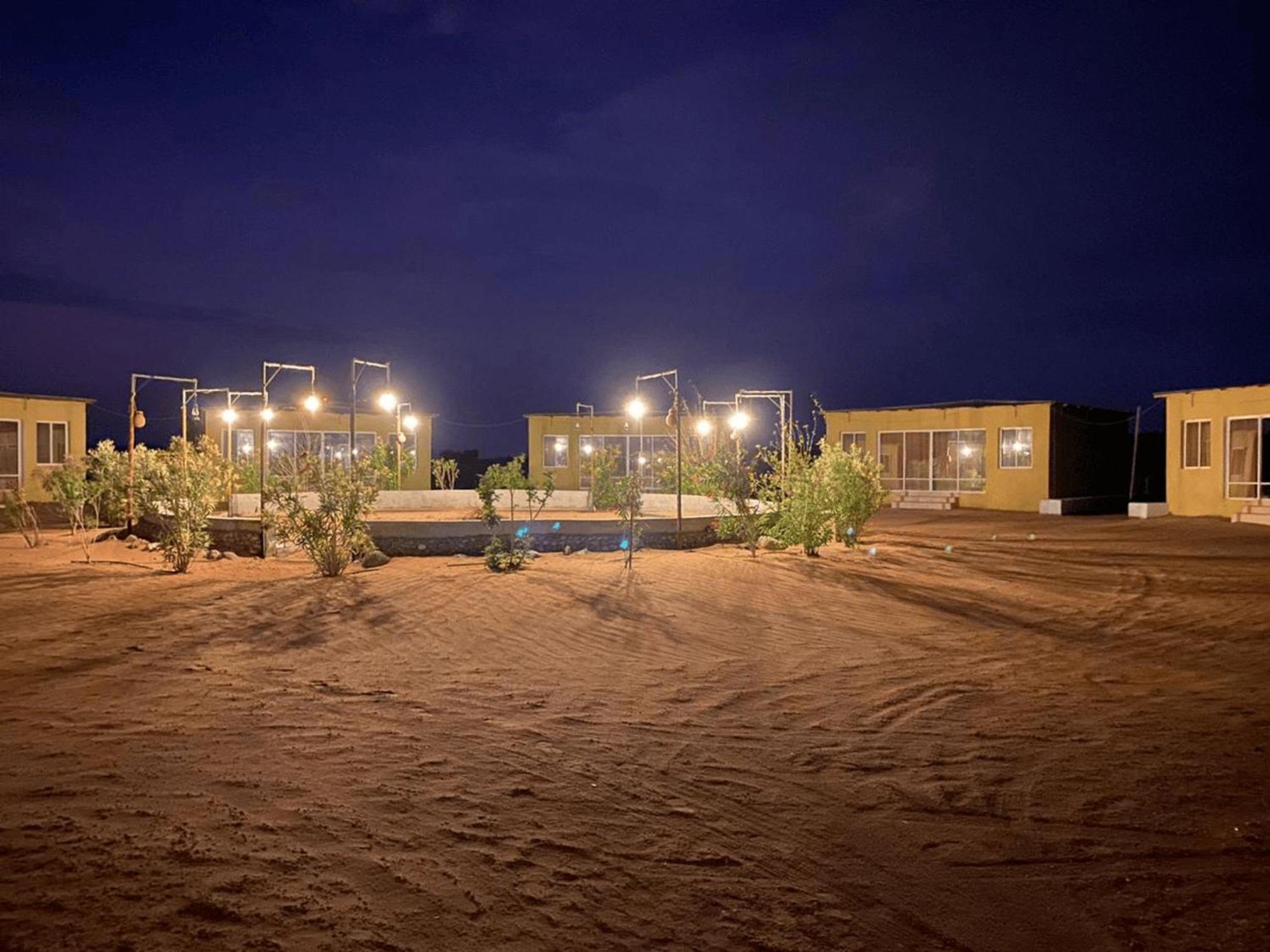 Maison d'hôtes In - Golden Palm Oasis - Royal Palm